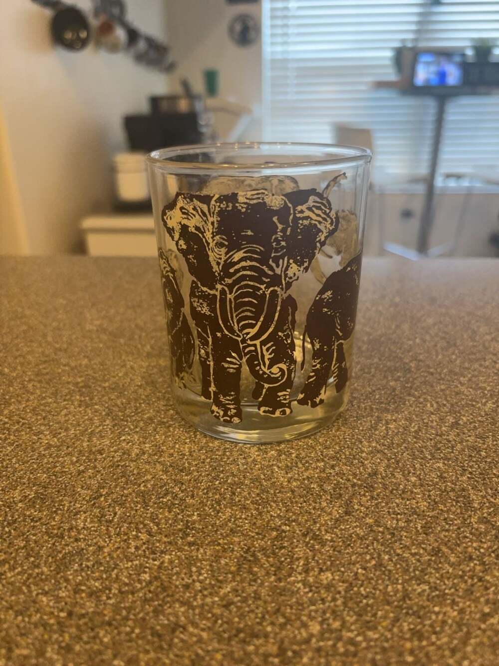 Vintage Tastesetter Elephant Print Drinking Glass